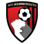 Bournemouth badge